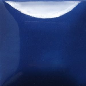 SC76-Cara-bein Blue