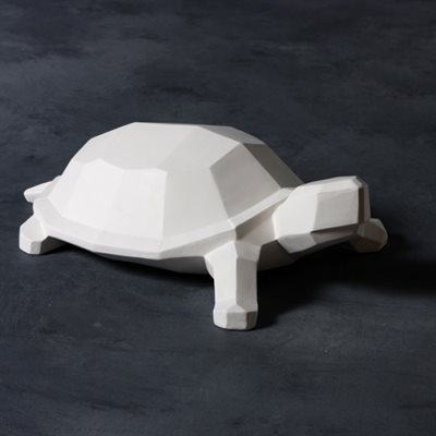 Faceted Turtle 