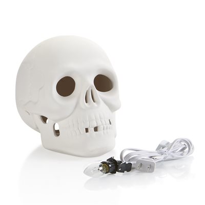 Skull w / Light Kit 