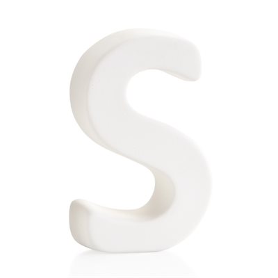 Standing / Hanging Letter S